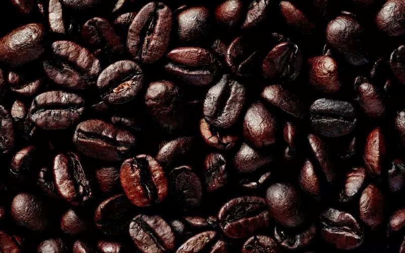 老公愚孝怎么办，情感咨询师教你怎么做！