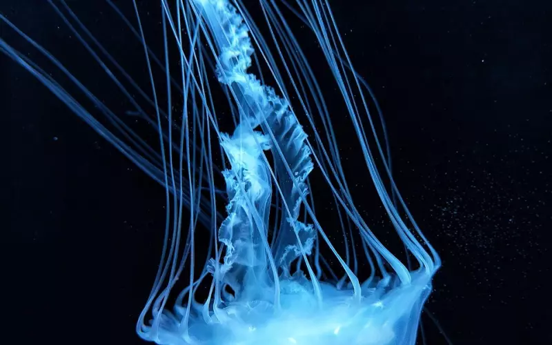 冷冻期要怎么做才能挽回男友