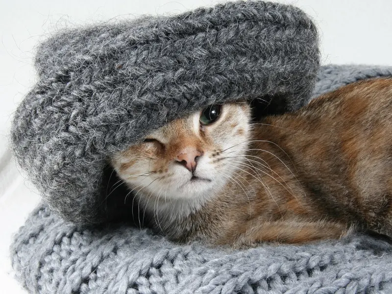 面对小三怎么办？十句话让你噎死她！