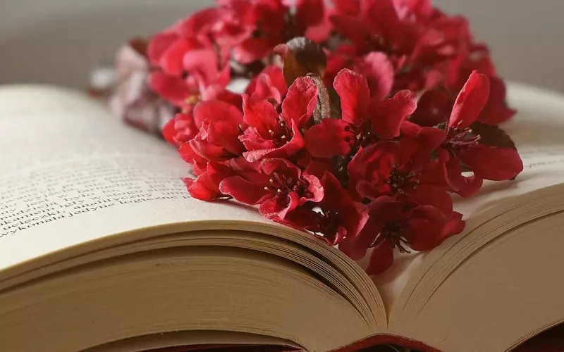 分手后挽留男朋友话该怎么说