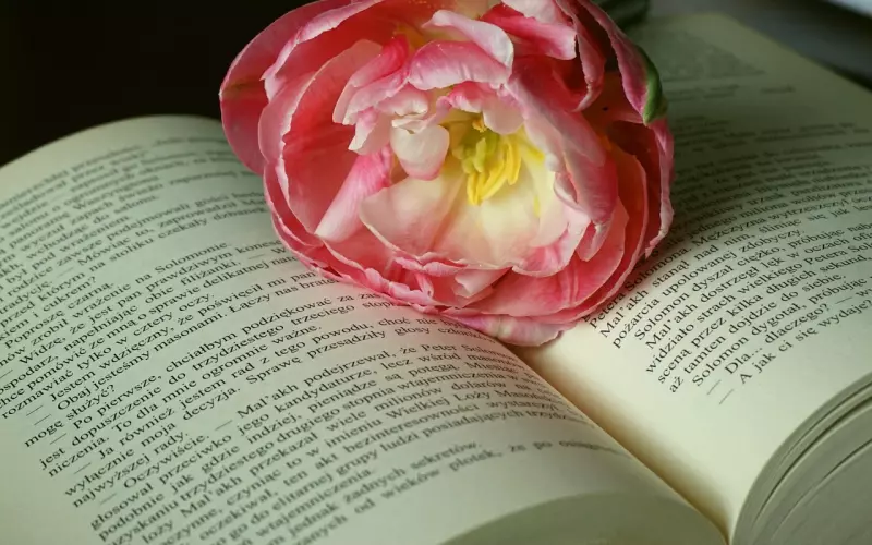 分手后挽留男朋友话该怎么说