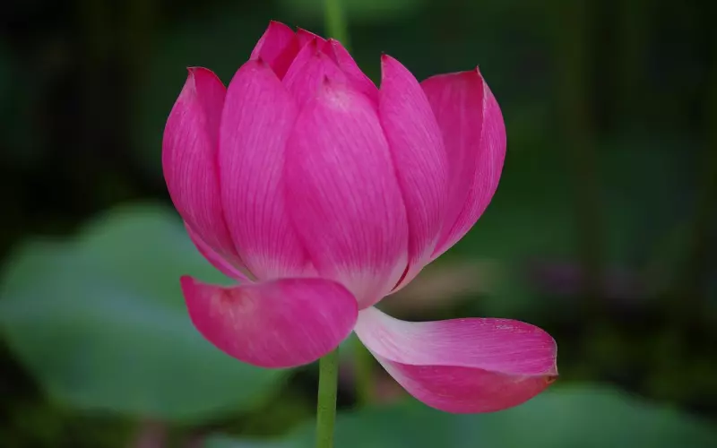 什么感动的话可以挽回爱情