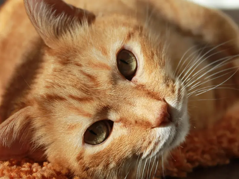 什么类型的女人，会让男人认为“不合适”？