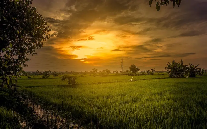 他们逼婚的时候，我在想些什么