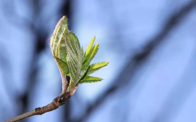 哪些话会导致你挽回男友失败？