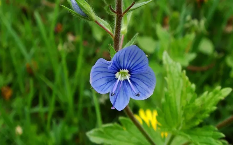 面对这样的婆婆你们会怎么办？
