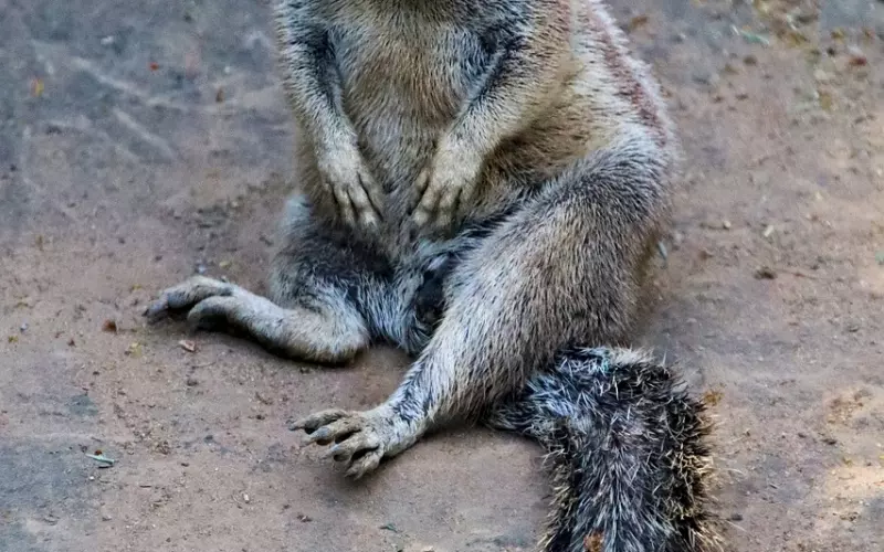 你所谓的性格不好，其实是情商不够