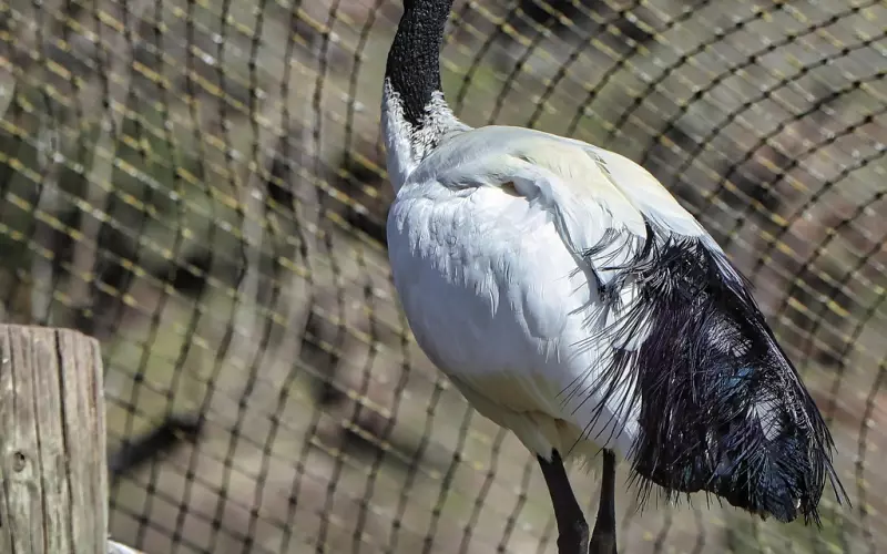 挽回必知：警惕这些认知偏差 ！