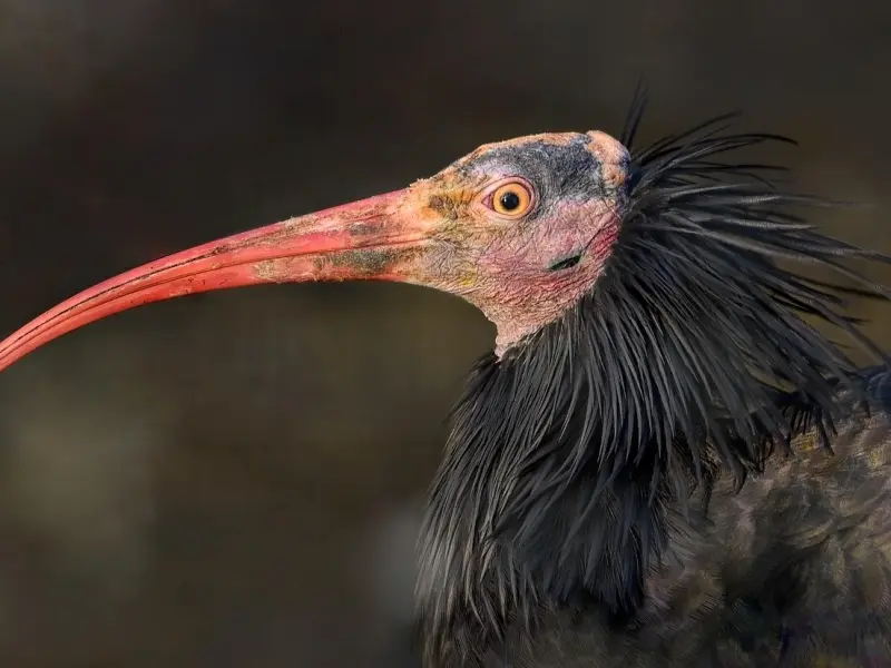 挽回必知：最常见5种分手类型以及挽回方法！