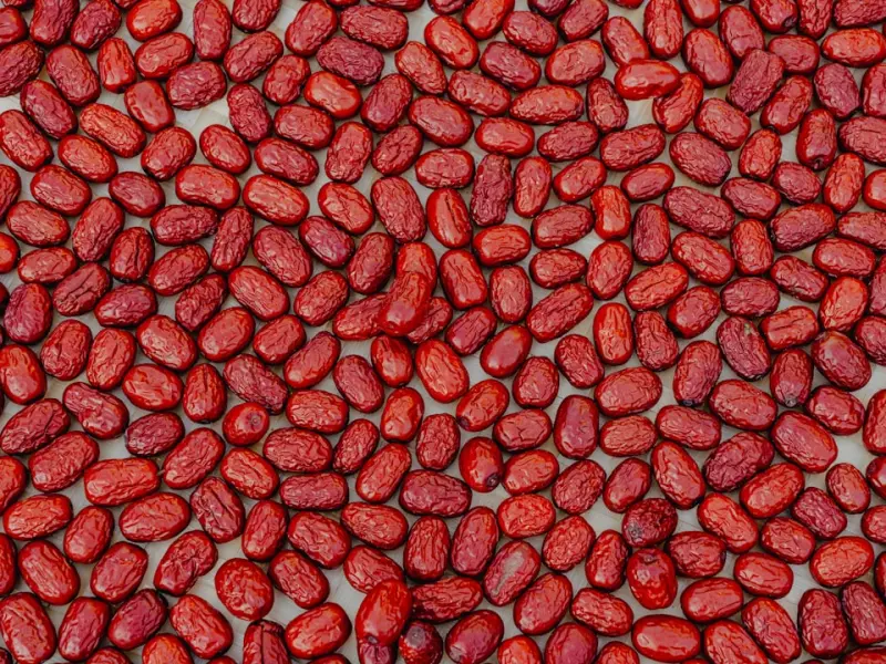 挽回爱情不得不知的冷知识