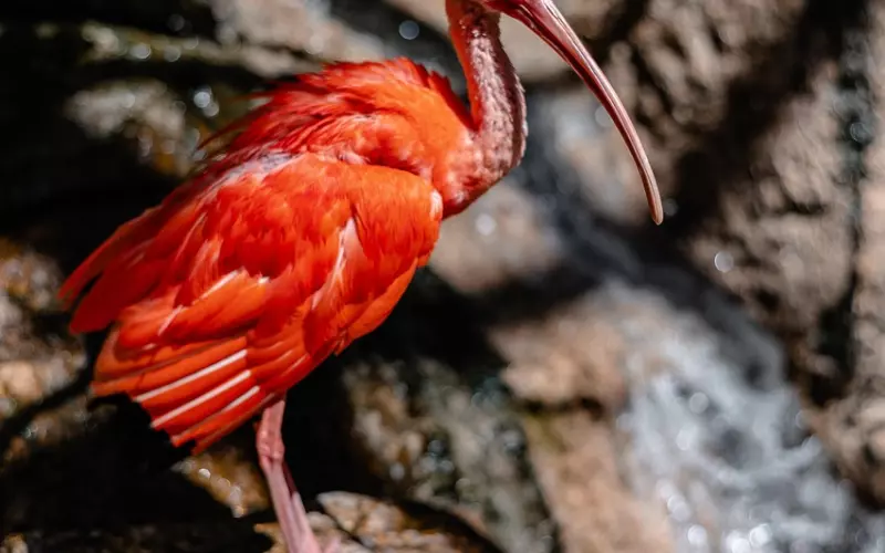 挽回男友必知：分手后挽回爱情的方法
