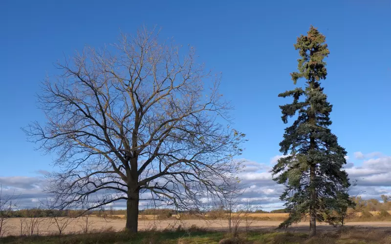 想和前任复合怎么说比较好，挽回男朋友最有效的方法