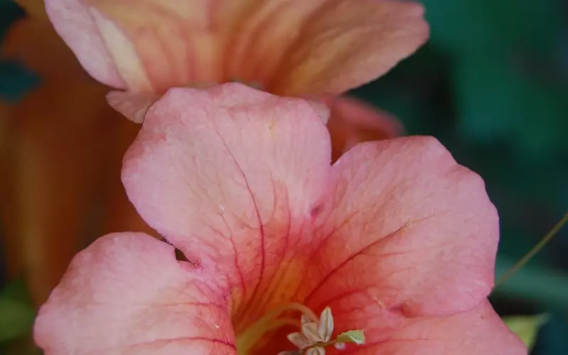 爱一个人的最好方式是什么？