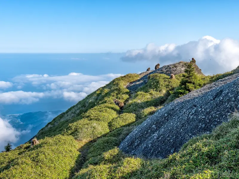 你与PUA的一步之差？