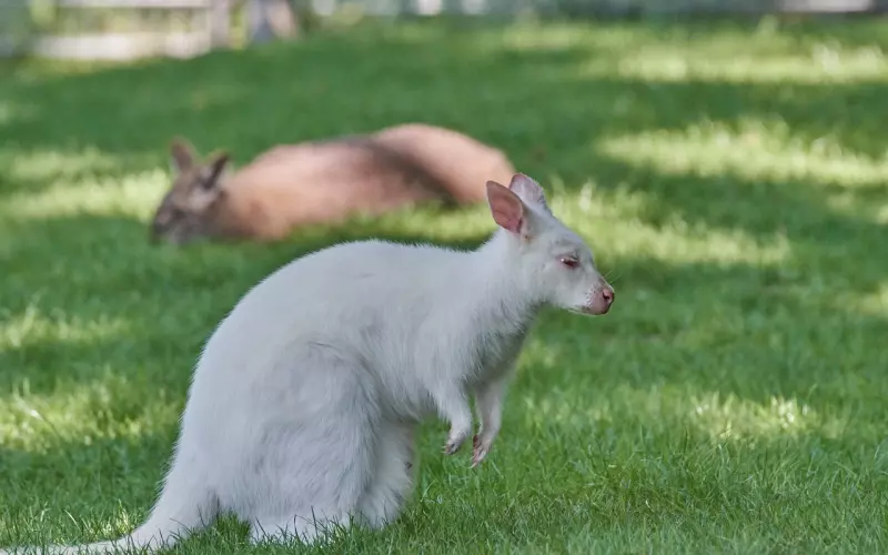 你和异性都做过什么最暧昧的事？有没有后悔过