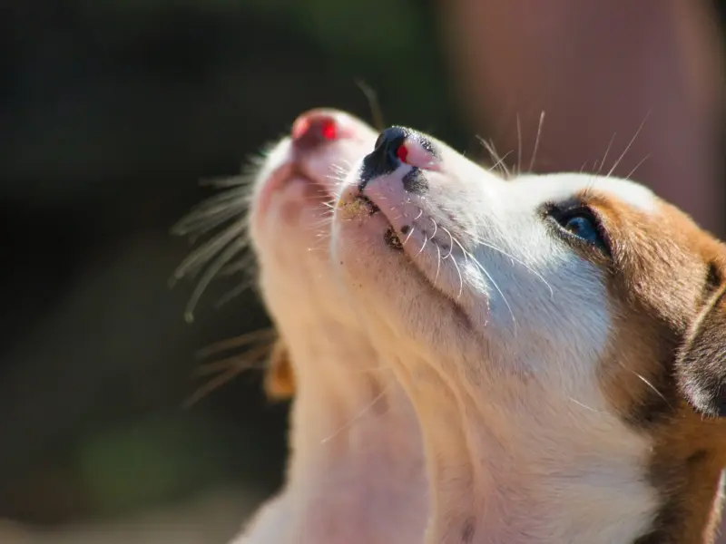 让他主动求复合的秘诀是？
