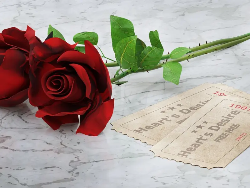 内心渴望爱又不想谈恋爱的女生，都怎么了？