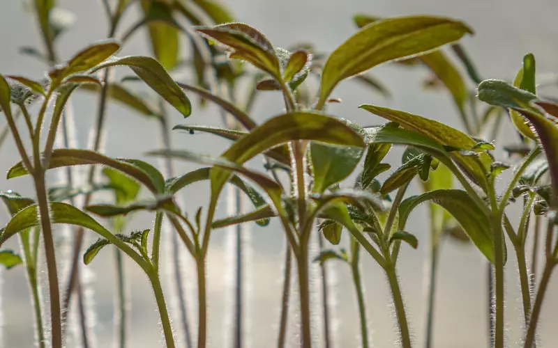 男孩遇到喜欢的女孩怎样做更招她喜欢？