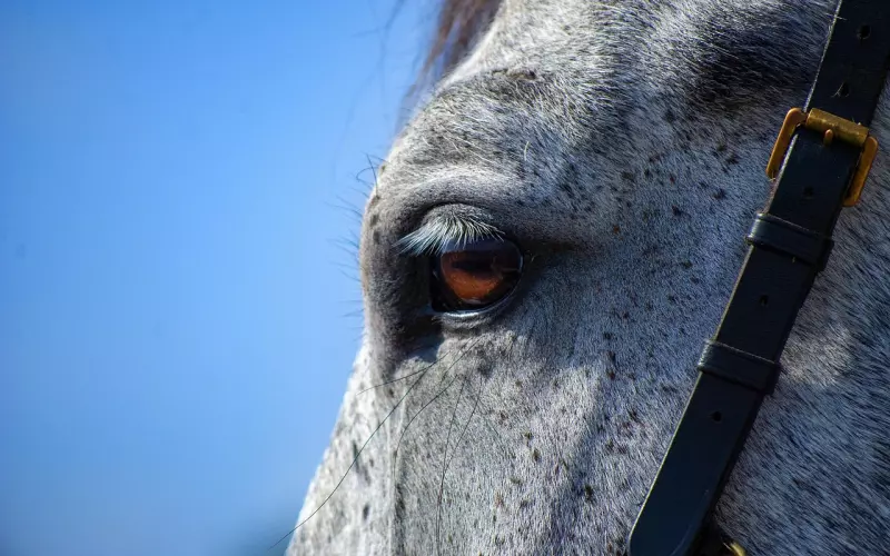 男朋友假分手的表现，细节是藏不住爱的，看懂了就去挽回他吧 ...