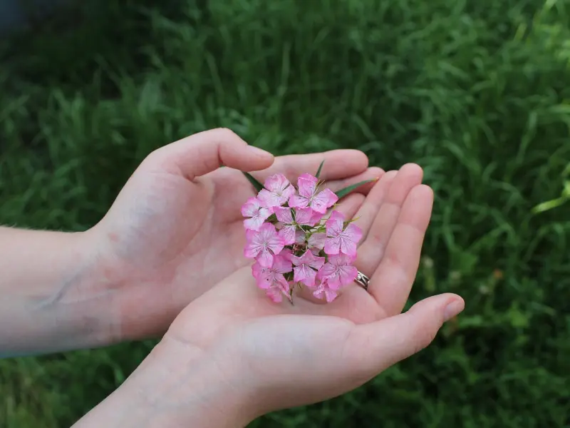 当女生这么回复你的时候：其实她只是在试探你