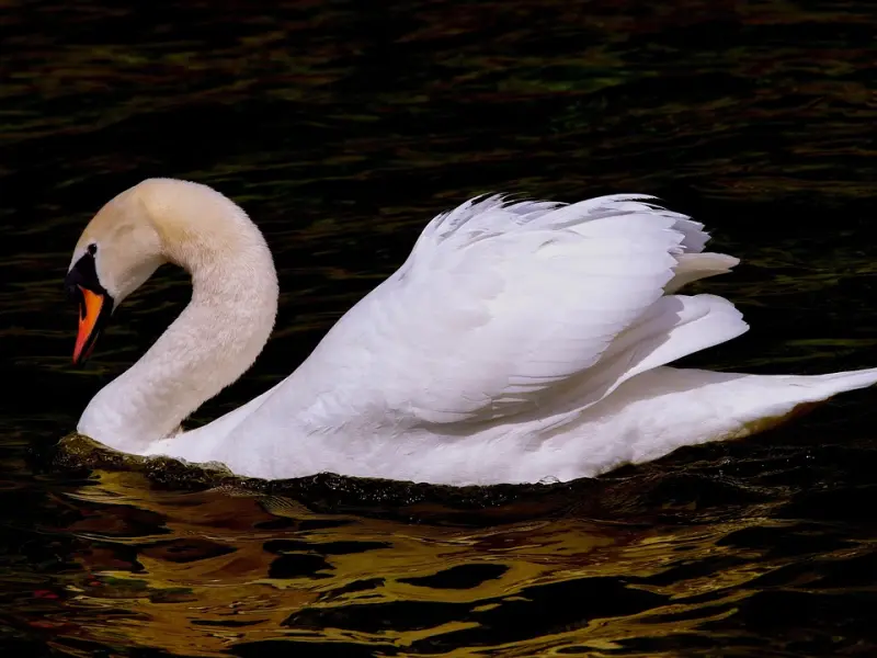 男人有以下4个动作时，会让女人感到很恶心