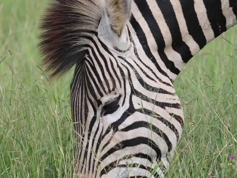 男人有“异心”的时候，再怎么掩饰，也都会有这些破绽