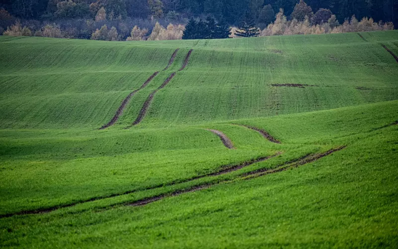男人心里有了别人，即使隐藏得再好，也会露出这些痕迹