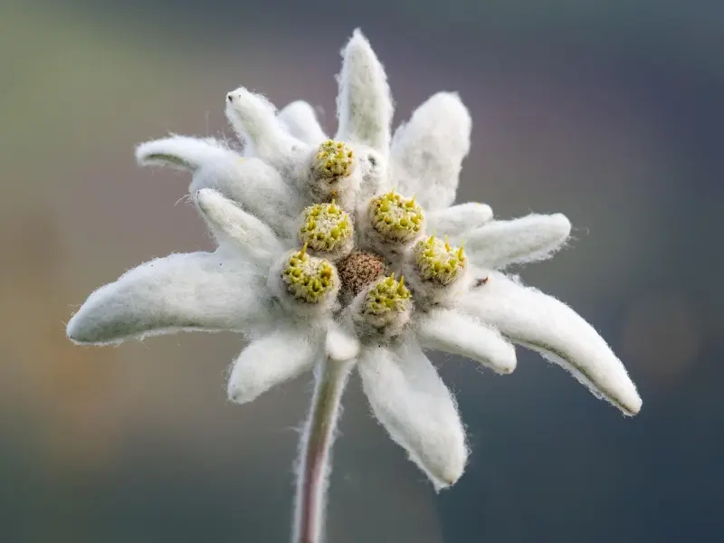 当一个男人有了3个表现，不是情商低也不是不懂爱，只是不爱你