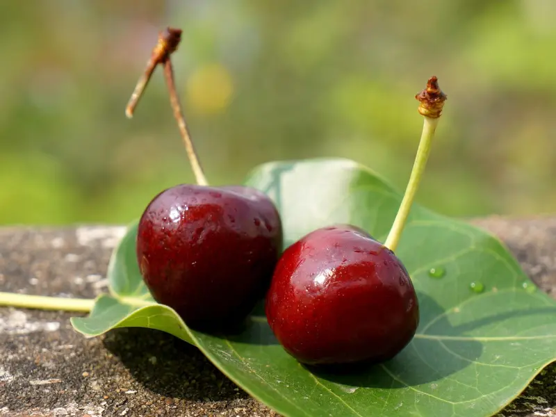 男人，动情了，会有这九个表现