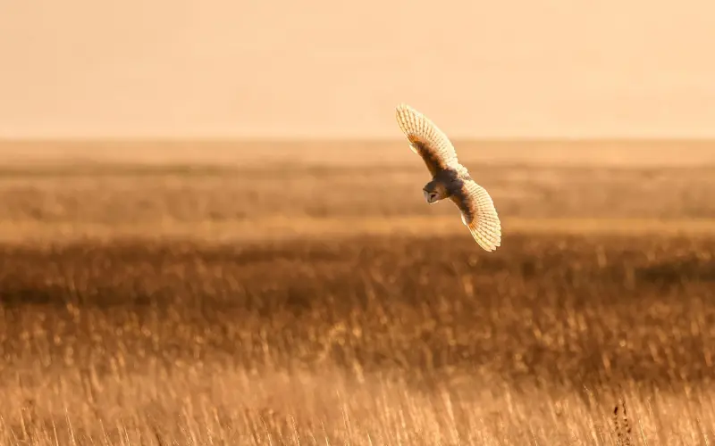 男人疯狂想念一个人时，并不会频繁联系，而是会这样做