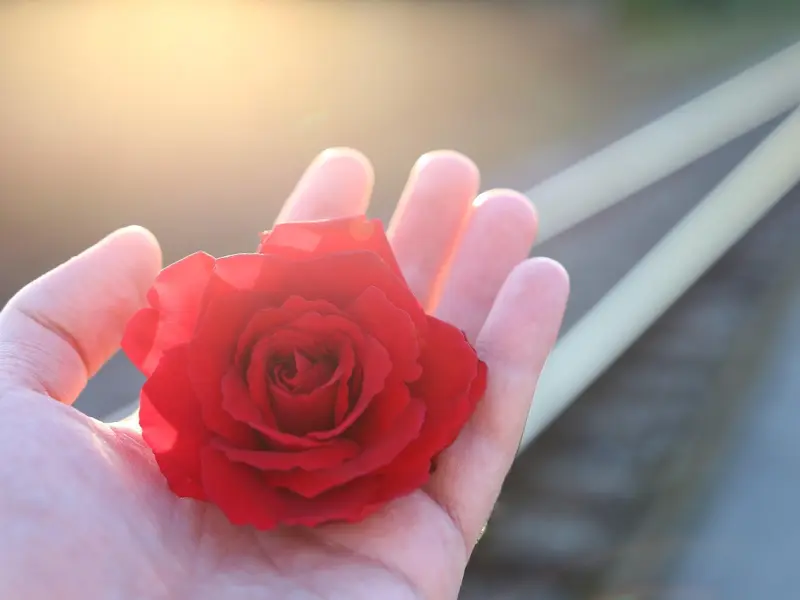 男人在这些时刻冷落你，看似不爱你，其实是在吃醋