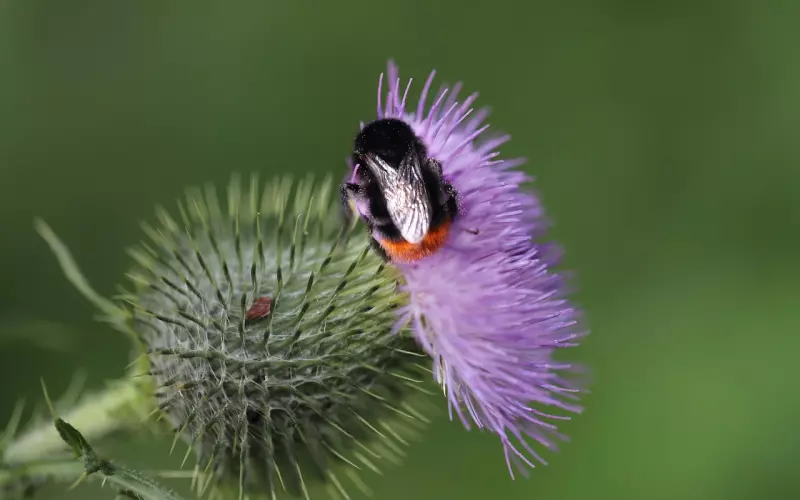 男人说“不能再耽误你了”，真正的意思是...