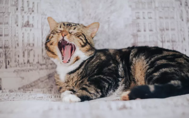 男人对你说这5句话，说明他下定决心和你分手！