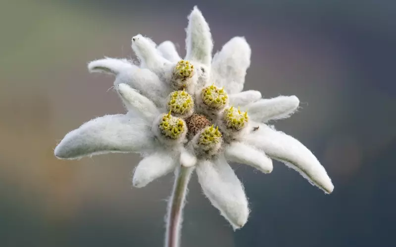 男人说“我们不合适”，分手的决心是不是很坚决？还能挽回吗？ ...