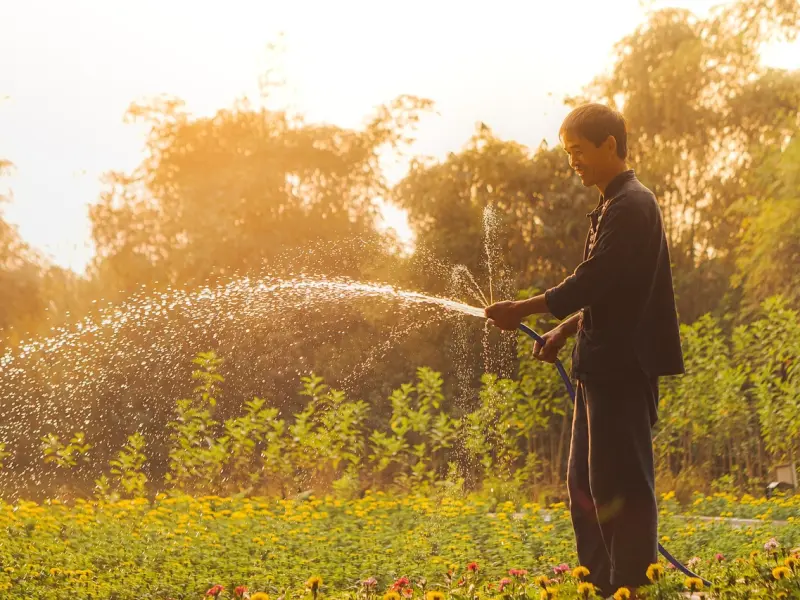 中年女人在微信上给你这些“暗示”，无非对你动了情，男人别装傻