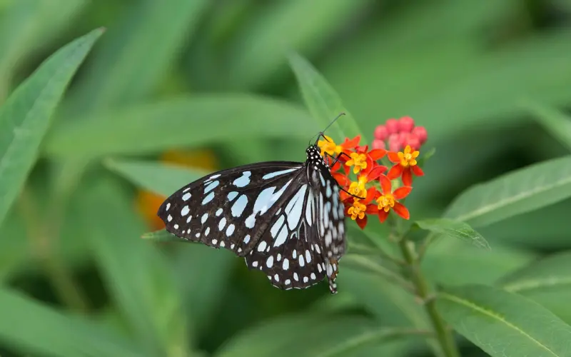 人活着，心情灿烂最重要！