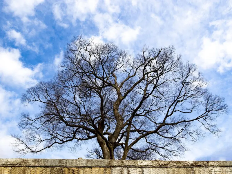 女人有意让你主动来“撩”，往往会有这些举动