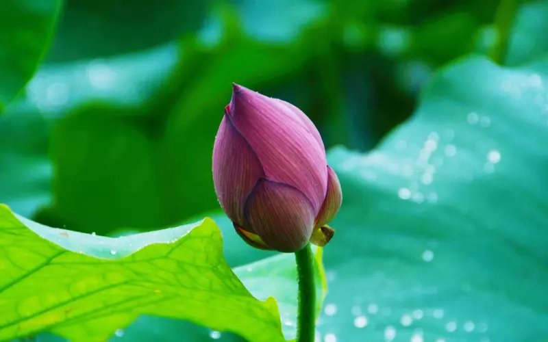 女人找老公，千万不要找这种类型