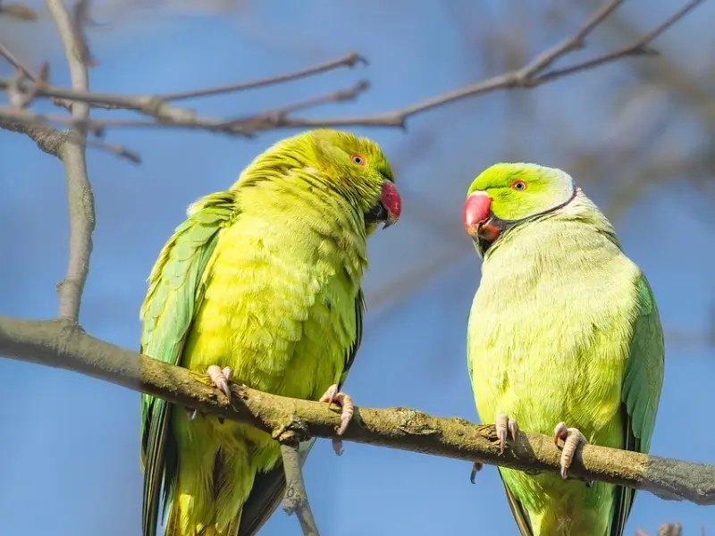 女人对你有这四个小动作，就是在暗示你“进攻”了！