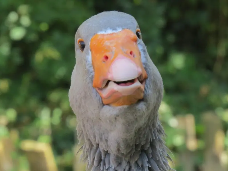 女人这样去跟你说话，明摆着心里装了不止你一个人，一试便知！