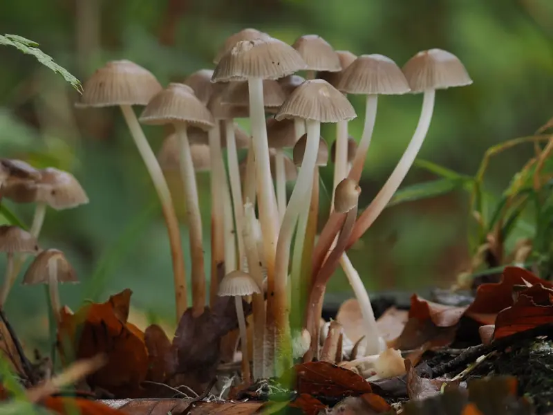 ✅女人大姨妈弄到床单上后……千万要注意！