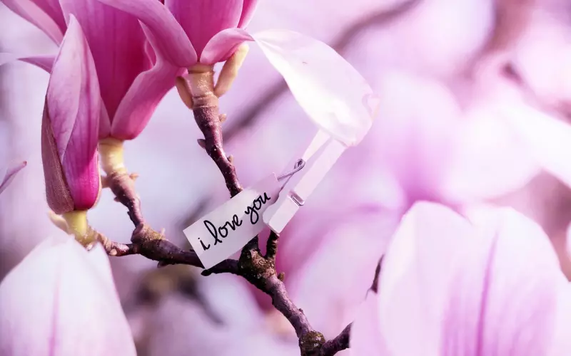 无意谎言变成弥天大谎，感情是否承受得住