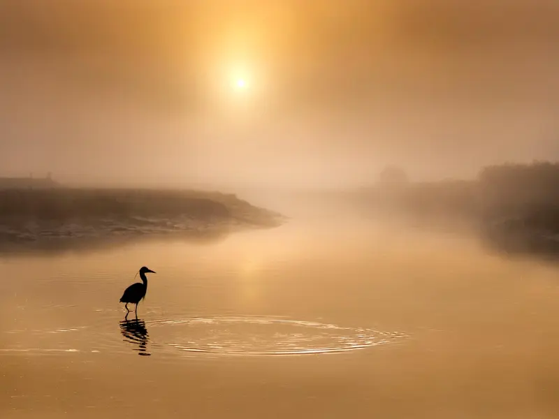 分手时，真心想挽回这段恋情的男人，大多会有这些暖心的表现