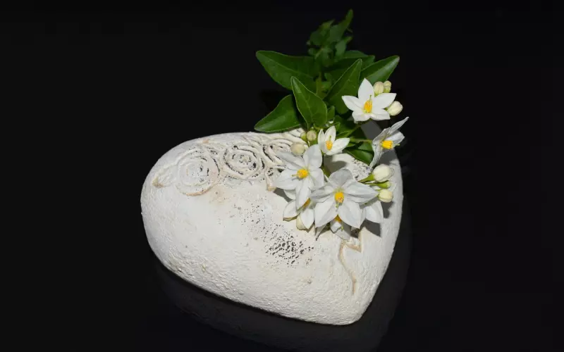 追女生必须和那些只暧昧不确立关系的渣女说再见！