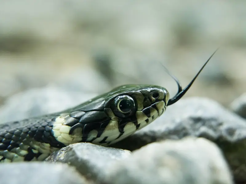 微信聊天时，女人经常说这四句反常的话，说明她对你动心了