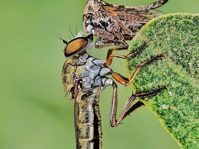 微信聊天时，男人对你有这几种行为，可以果断分手了！