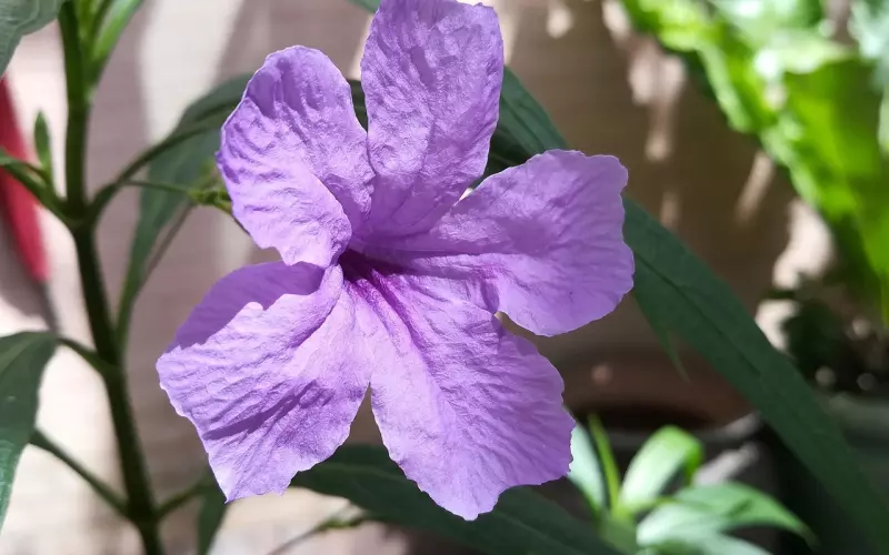 追女生聊天时，千万别太谦虚 要幽默！