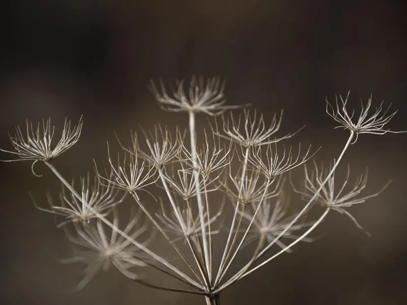 与异性聊天时，把“在干嘛”换成这3句话，想不脱单都难！