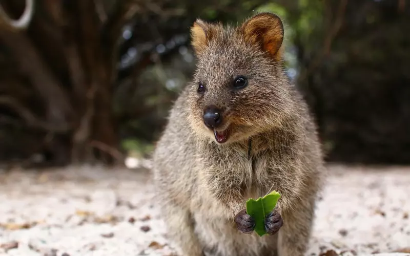 吃饭时，有这5个表现的男人，早已爱你入骨！