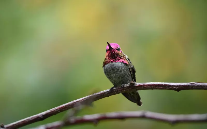 缘尽情散，在挽回真的也只剩遗憾了吗？